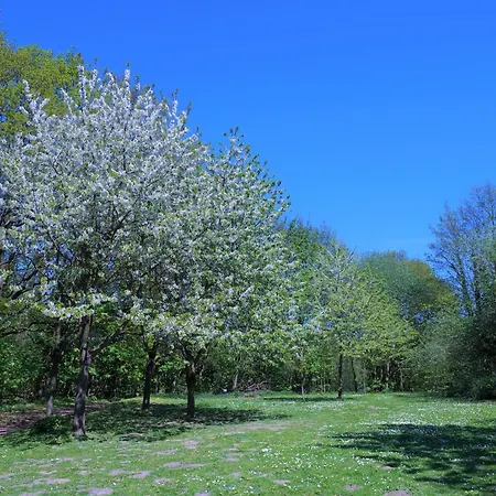 Panoramic App A04 3 Sierksdorf
