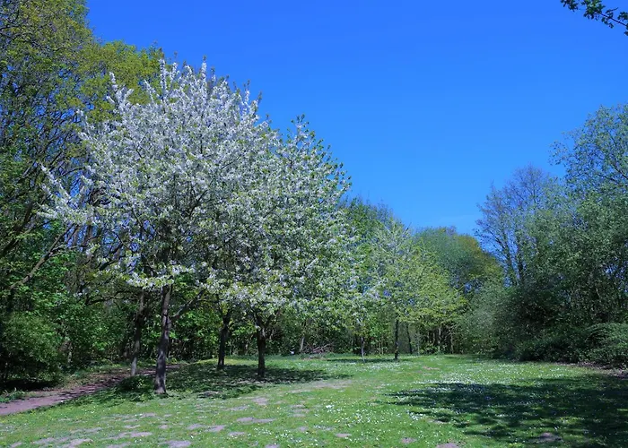 Panoramic App A04 3 Sierksdorf